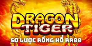 Sơ lược thông tin về bộ môn Dragon Tiger tại RR88