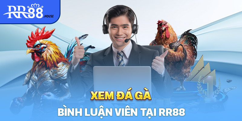 Sảnh đá gà với những trận đấu có bình luận