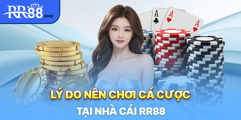 Lý do nên tham gia giải trí cá cược tại nhà cái